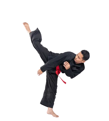 Adult Martial Arts